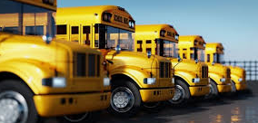Buses 